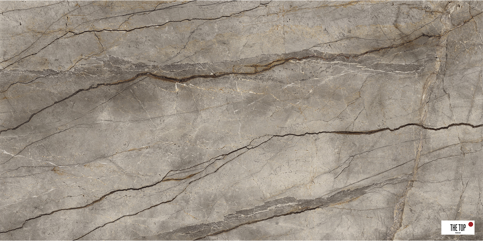 Marble Look - Silver Root